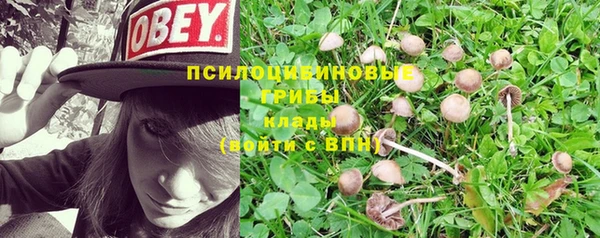 соль ск Елизово