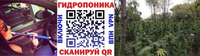Купить закладки Трубчевск Бошки Шишки AK-47